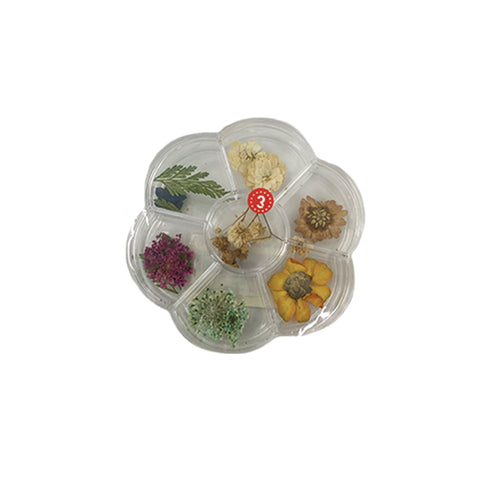 Emotion Beauty Supply 3D DRIED FLOWERS LK-D062
