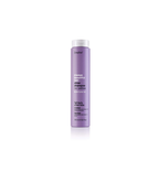Emotion Beauty Supply Erayba Silver Shampoo No Yellow 8.5oz